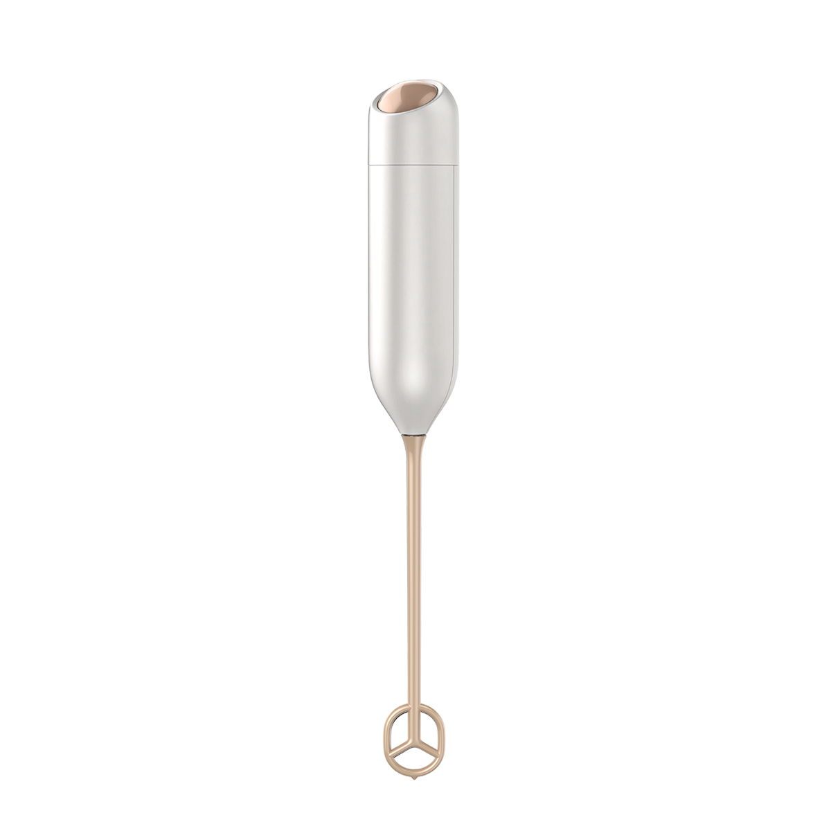 KJBQ-21J Electric Whisk
